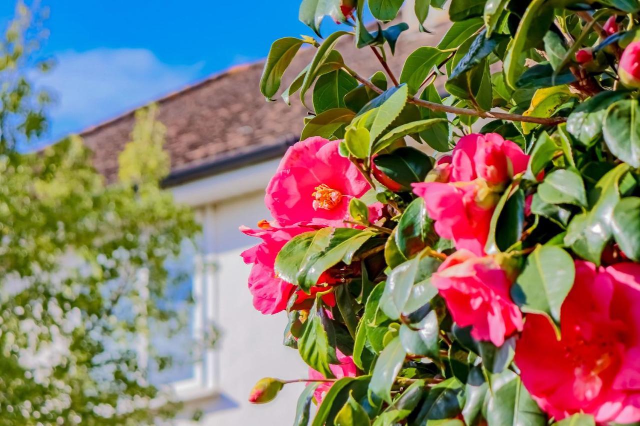 Causey Lodge Superb Comfy Home In Exeter By Staystay Zewnętrze zdjęcie